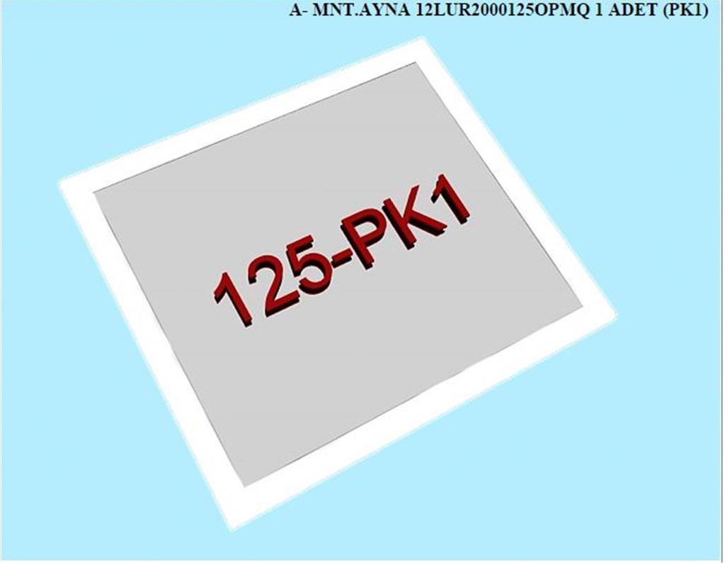 12LUR2000125OPMQ, T.AYNASI MONTELI AYNA/OPK.BYZ.LAURA DERI