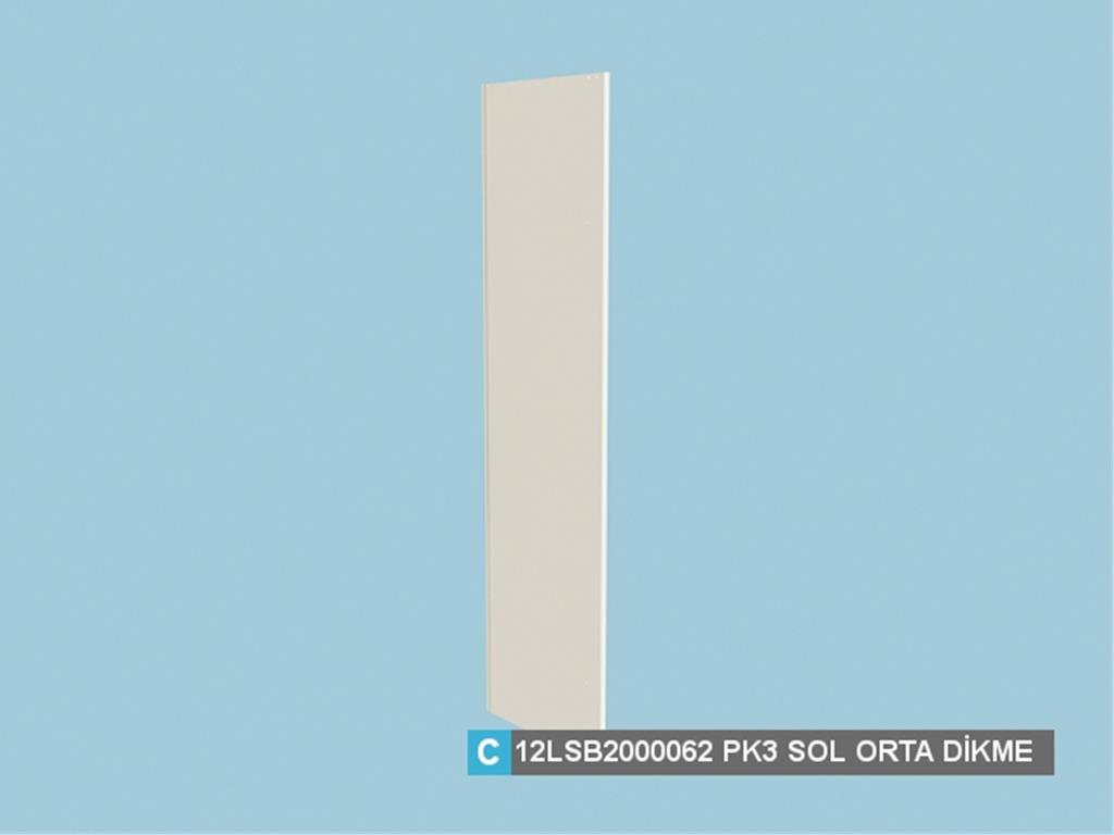12LSB2000062FSFS, SOL ORTA DİKME /FİLDİŞİ