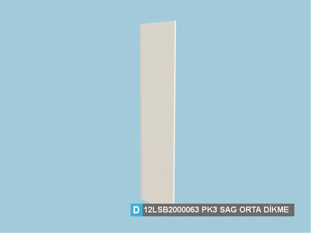 12LSB2000063FSFS, SAĞ ORTA DİKME /FİLDİŞİ