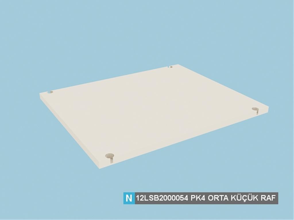 12LSB2000054FSFS, ORTA KÜÇÜK RAF /FİLDİŞİ
