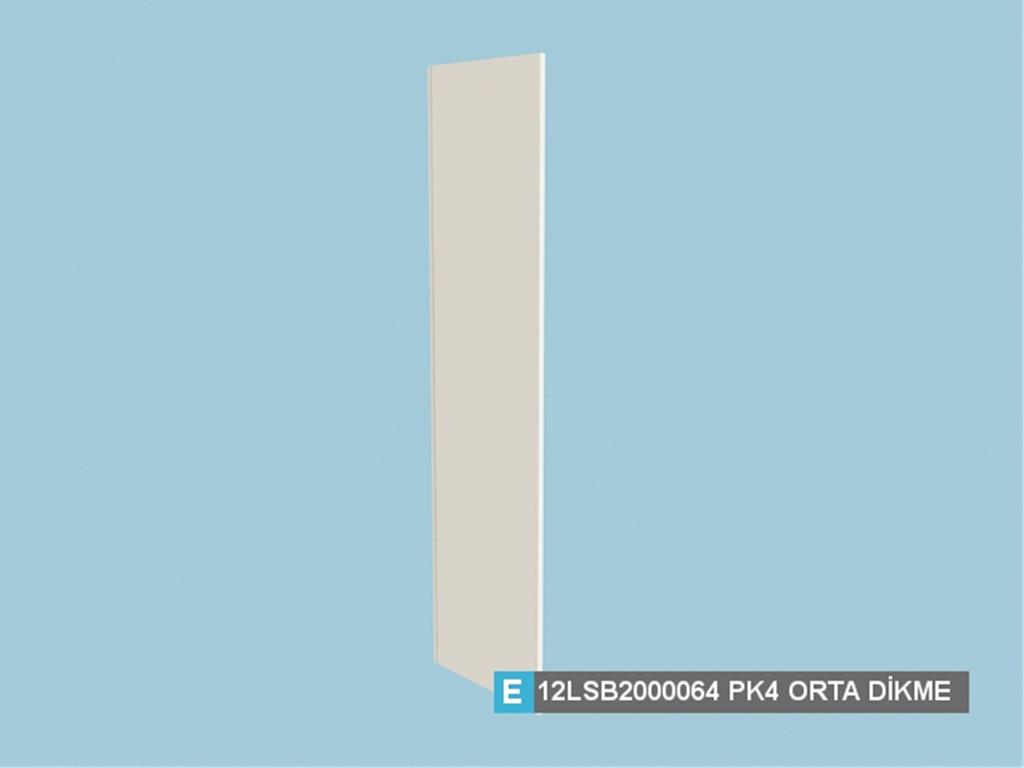 12LSB2000064FSFS, ORTA DİKME /FİLDİŞİ