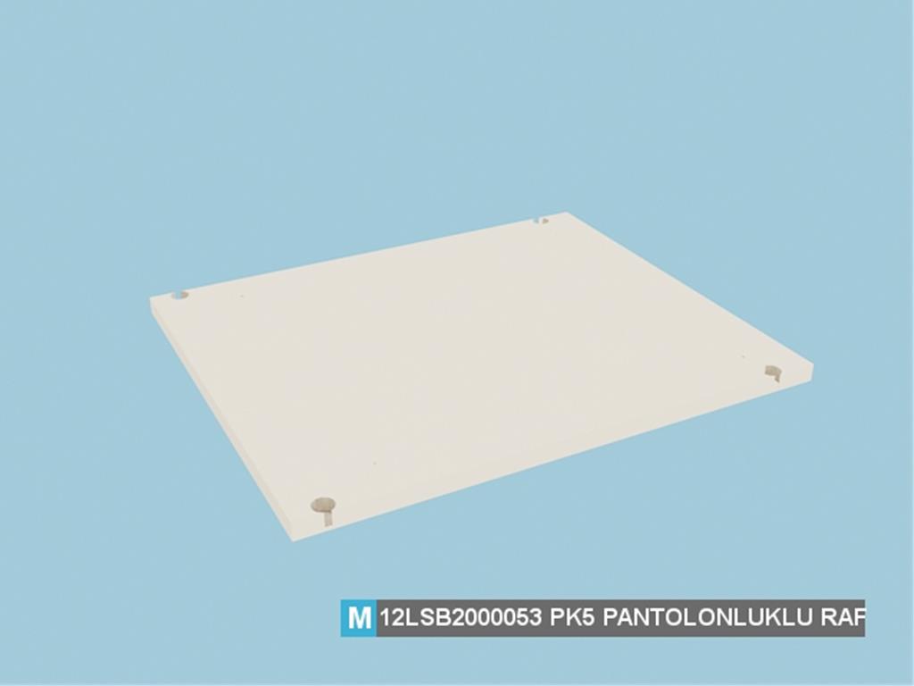 12LSB2000053FSFS, PANTOLONLUKLU RAF /FİLDİŞİ