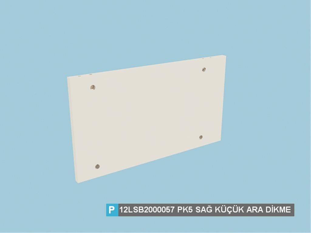 12LSB2000057FSFS, SAĞ KÜÇÜK ARA DİKME /FİLDİŞİ