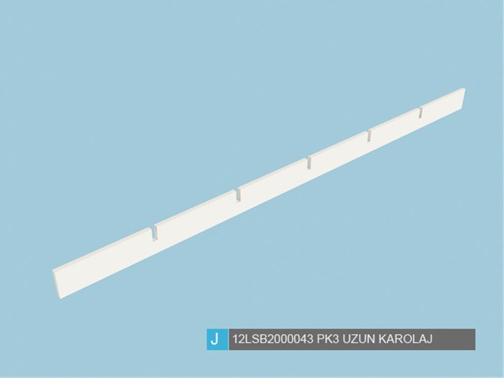 12LSB2000043FSFS, UZUN KAROLAJ