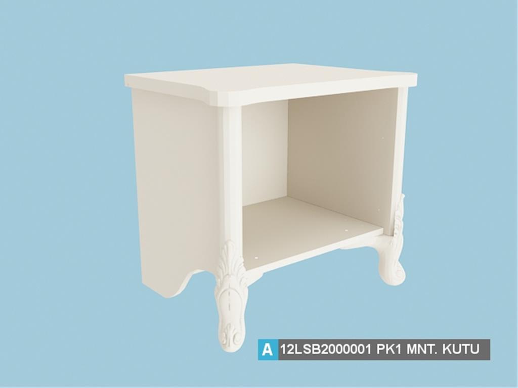 12LSB2000001FSFS, MONTELİ KUTU  /FİLDİŞİ